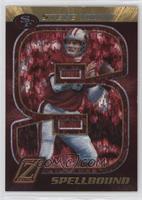 Steve Young #/100