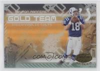 Peyton Manning #/500