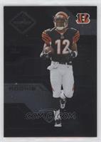 Rookie - Tab Perry [EX to NM] #/250