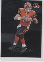 Carson Palmer #/599