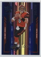 Carson Palmer #/250