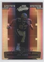 Joe Horn #/100