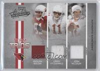 Anquan Boldin, Larry Fitzgerald, Josh McCown #/100