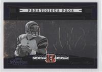 Carson Palmer #/100