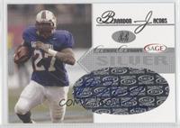 Brandon Jacobs #/400