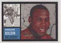 Anquan Boldin