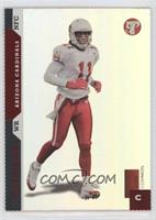 Larry Fitzgerald #/115