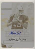 Rookie Foundations Signatures - Andrew Walter #/1