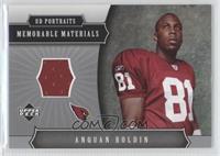 Anquan Boldin