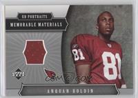 Anquan Boldin