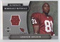 Anquan Boldin