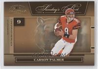 Carson Palmer #/100