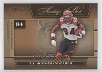 T.J. Houshmandzadeh #/1,000