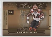 T.J. Houshmandzadeh #/1,000