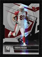 Anquan Boldin #/81