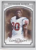 Andre Johnson #/250