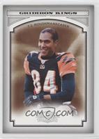 T.J. Houshmandzadeh #/250