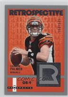 Carson Palmer #/699