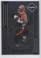 T.J. Houshmandzadeh #/799