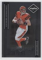 Carson Palmer #/799