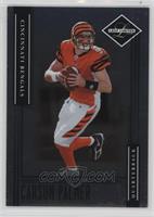 Carson Palmer #/799