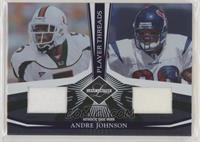Andre Johnson #/100