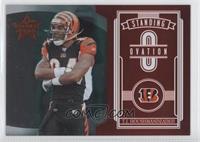 T.J. Houshmandzadeh #/1,000