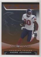 Andre Johnson #/500