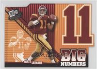 Matt Leinart