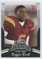 Reggie Bush (Color Photo) #/499