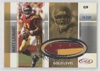 Matt Leinart #/25