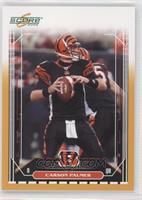 Carson Palmer #/600