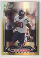 Andre Johnson #/50