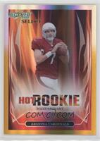 Matt Leinart #/75