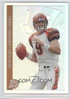 Carson Palmer #/299