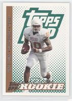 Class of 2006 Rookies - Vince Young