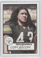 Troy Polamalu