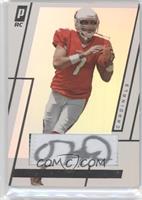 Matt Leinart #/99