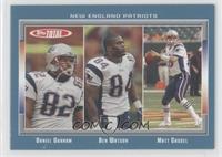 Daniel Graham, Ben Watson, Matt Cassel