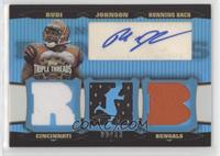 Rudi Johnson #/3