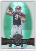 Carson Palmer #/199