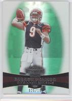 Carson Palmer #/199