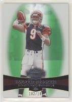 Carson Palmer #/199