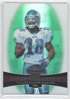 Donte Stallworth #/199