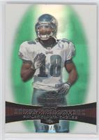 Donte Stallworth #/199