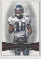 Donte Stallworth #/1,199