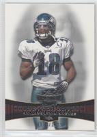 Donte Stallworth #/1,199