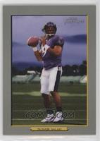 Steve McNair (Purple Sky)