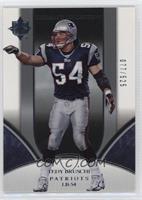 Tedy Bruschi #/525