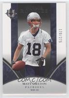 Ultimate Rookies - Matt Shelton #/275